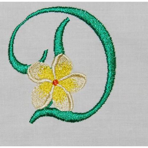 Frangipani D
