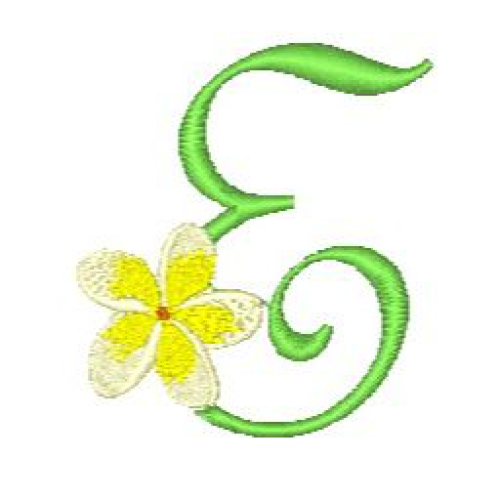 Frangipani E