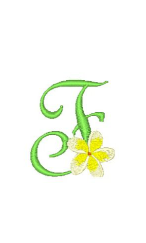 Frangipanier F