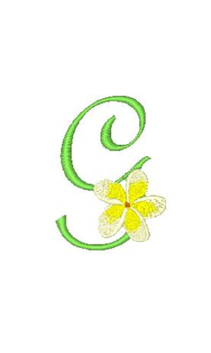 Frangipani G Frangipani G
