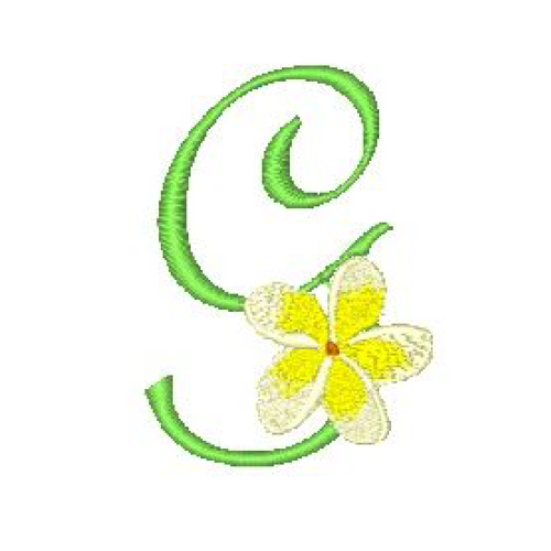 Frangipani G Frangipani G