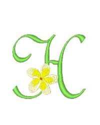 Frangipani H