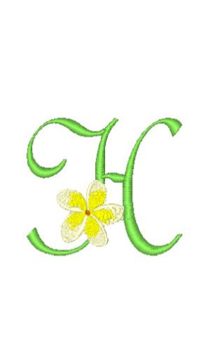 Frangipani H Frangipani H