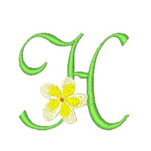 Frangipani H Frangipani H