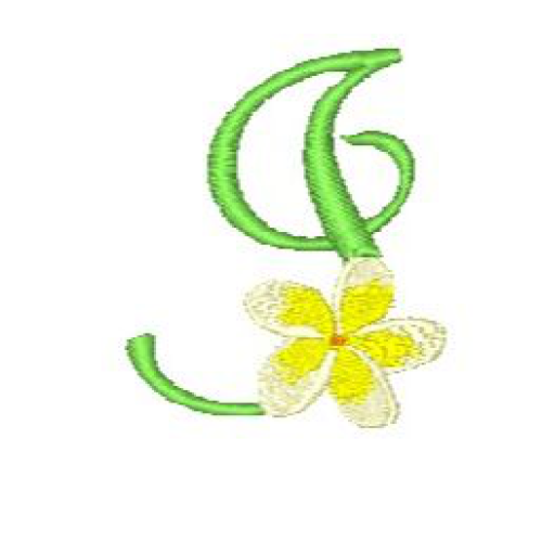 Frangipani I Frangipani I