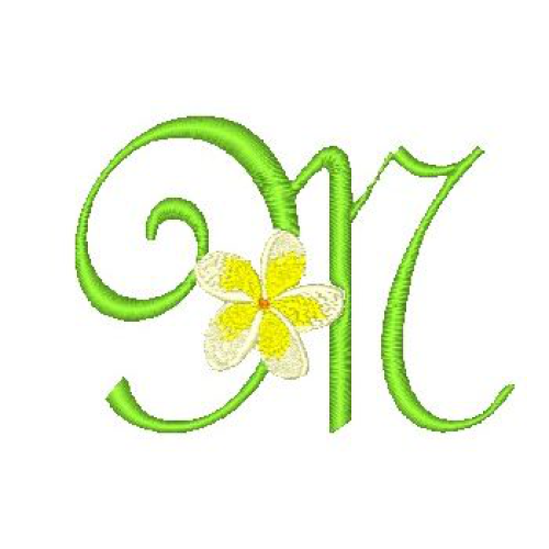 Frangipani M Frangipani M