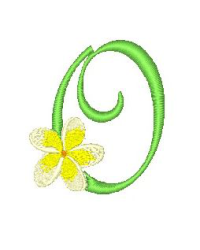 Frangipani O