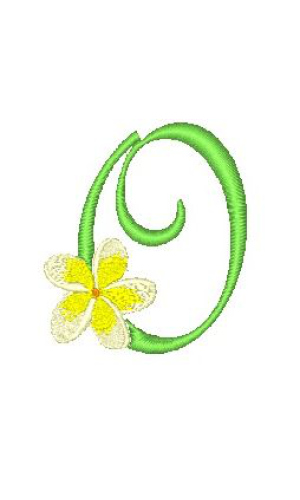 Frangipani O