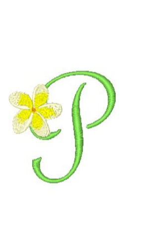 Frangipani P