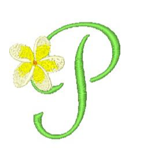 Frangipani P Frangipani P
