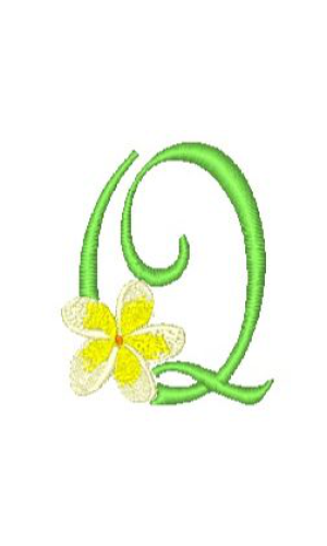 Frangipani Q Frangipani Q