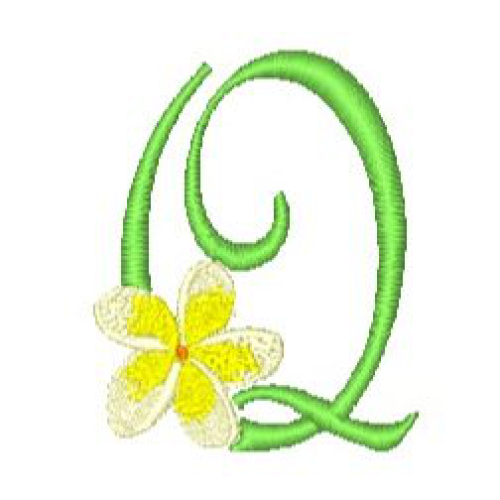 Frangipani Q Frangipani Q