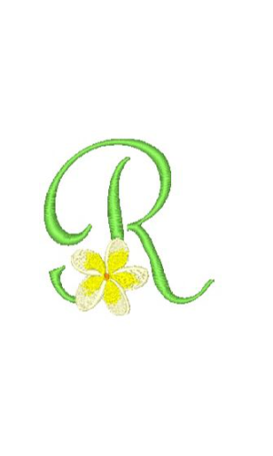 Frangipani R