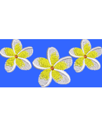 Frangipani Row