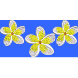 Frangipani Row