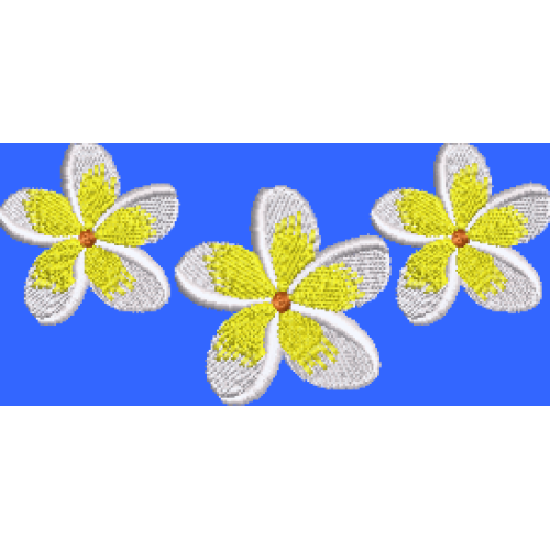 Frangipani Row
