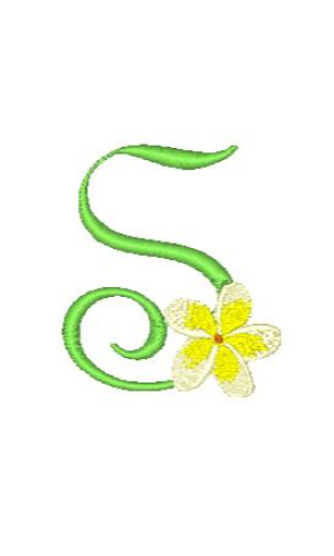 Frangipani S
