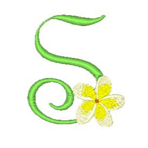 Frangipani S Frangipani S