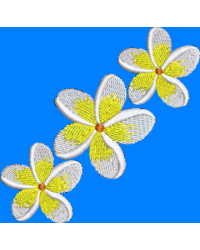 Frangipani Spray