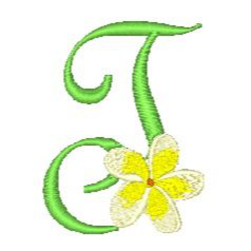 Frangipani T Frangipani T