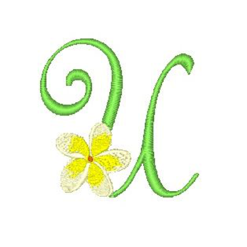 Frangipani U