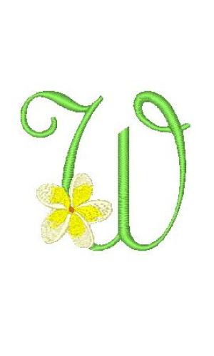 Frangipani W