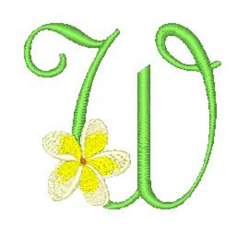 Frangipani W Frangipani W