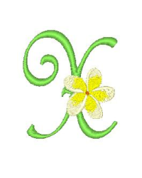 Frangipani X