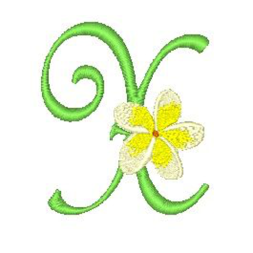 Frangipani X