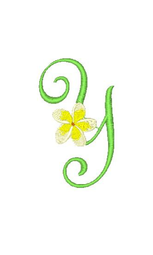 Frangipani Y