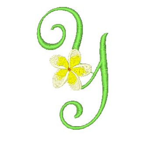 Frangipani Y Frangipani Y
