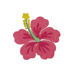 Hibiscus