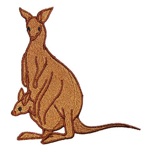 Kangaroo And Joey