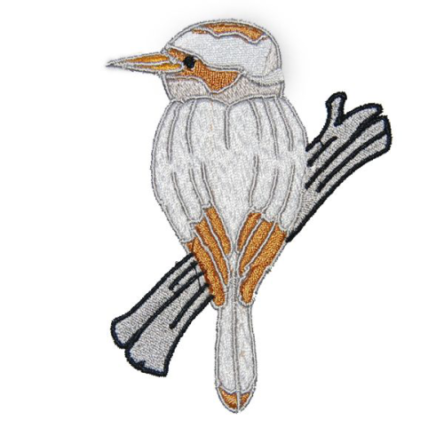 Kookaburra