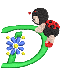 Lady Bug D