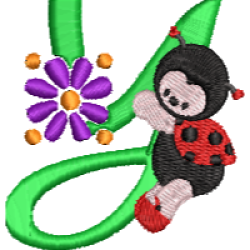 Lady Bug Y