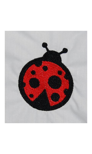 Ladybug02
