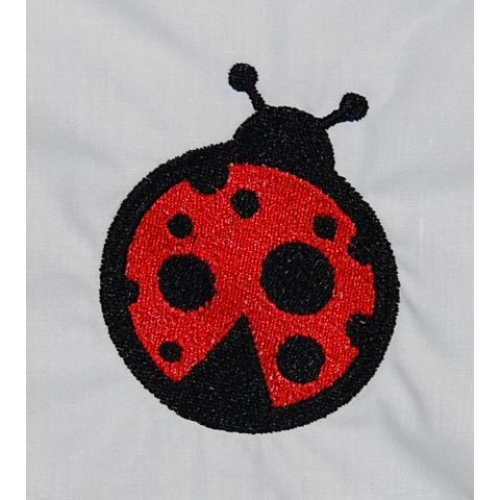 Ladybug02