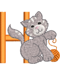 Little Kitty H