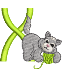 Little Kitty X