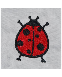 Little Lady Bug