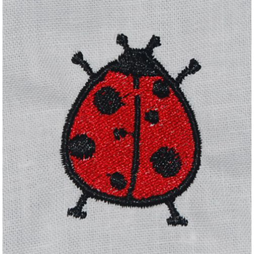 Little Lady Bug
