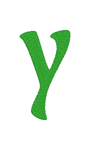 Lower Case Ali Y