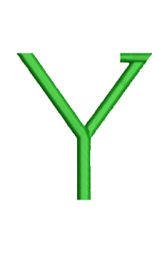 Lower Case Ethel Y
