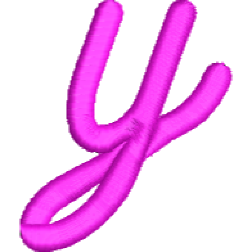 Lower Case Noble Y