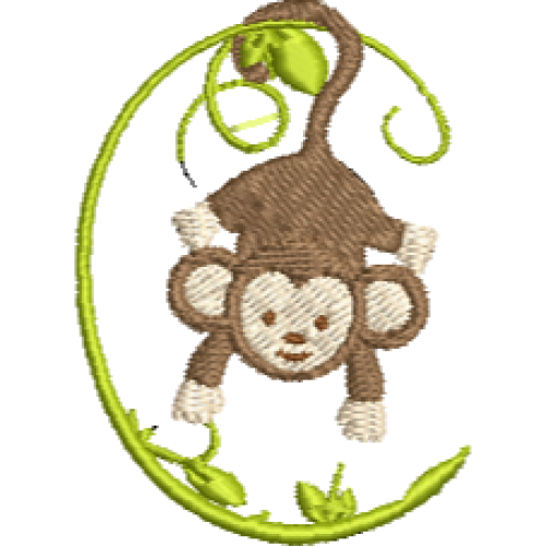 Monkey C