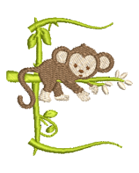 Monkey E