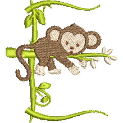 Monkey E
