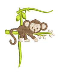 Monkey F