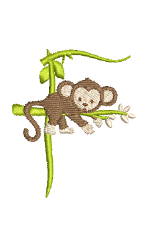Monkey F